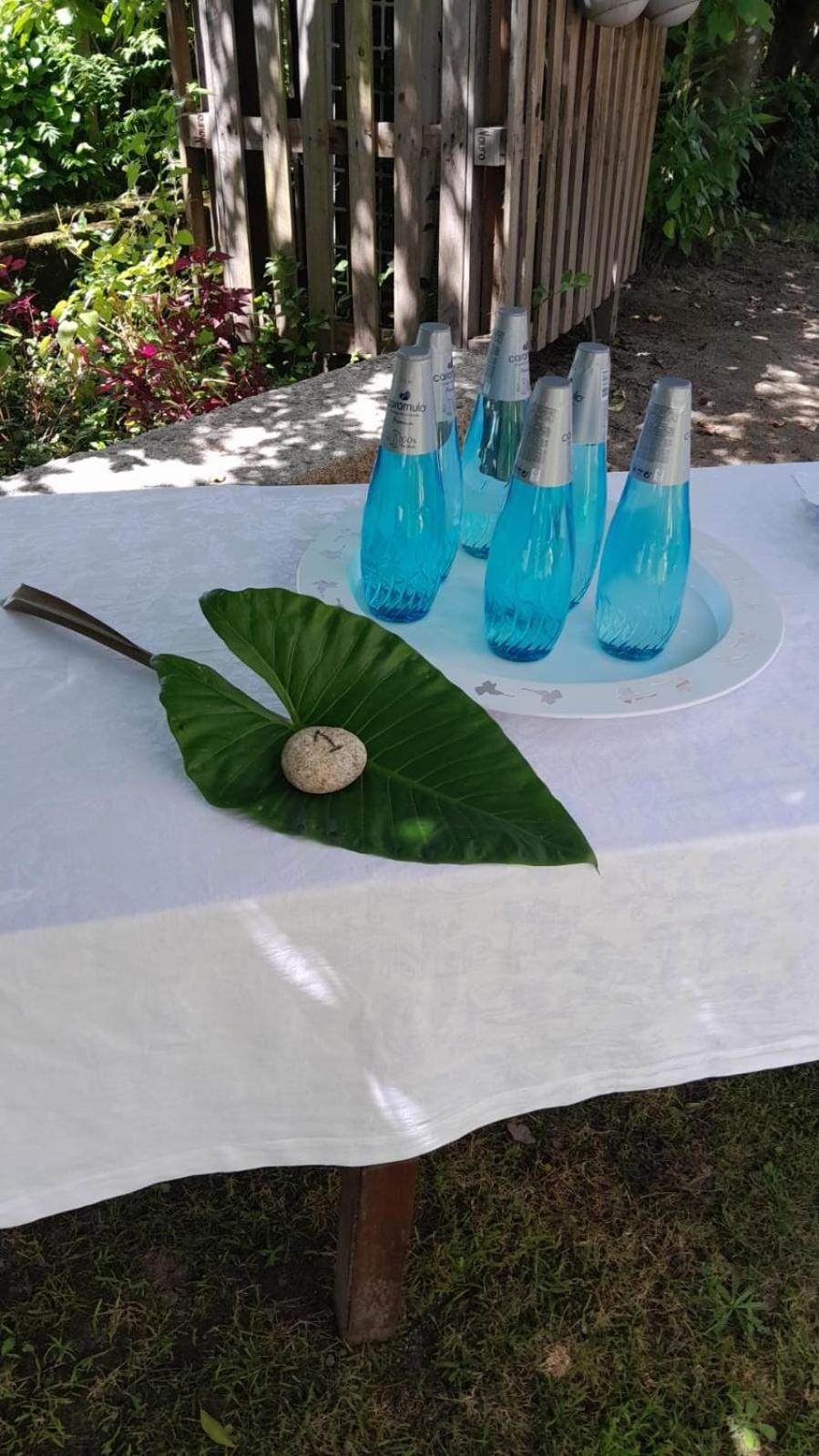 Casa D'Aldeia De Souto De Lafoes Guest House Oliveira de Frades Ngoại thất bức ảnh