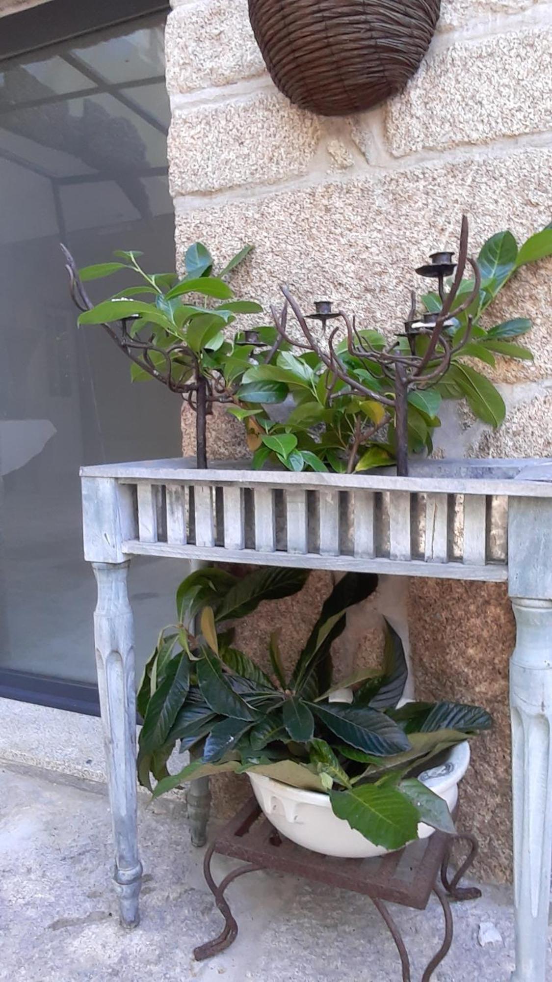 Casa D'Aldeia De Souto De Lafoes Guest House Oliveira de Frades Ngoại thất bức ảnh